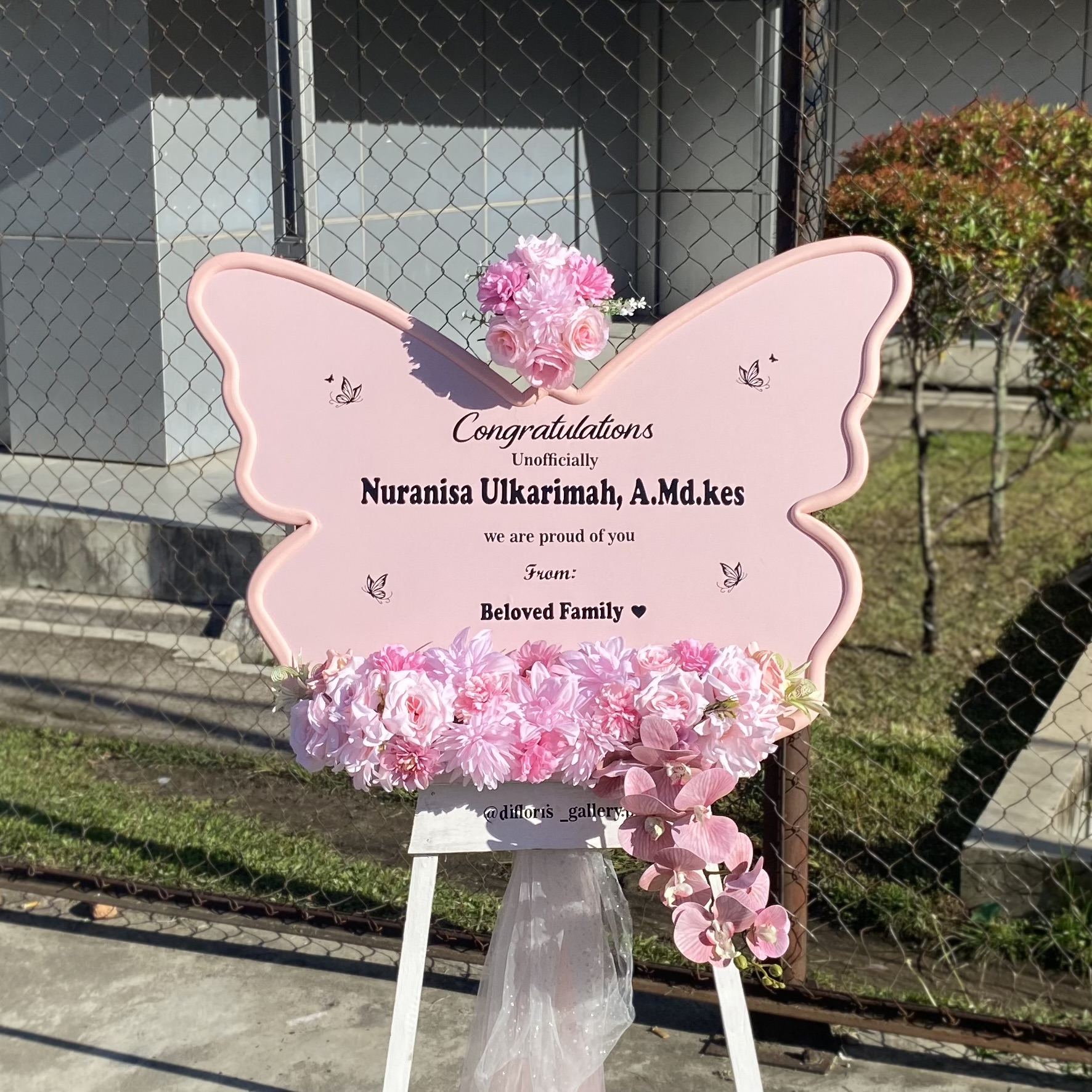 Kupu-kupu Pink